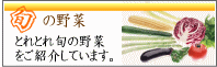 旬の野菜特集