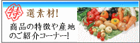 南九州青果の特選素材